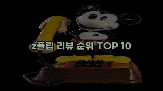 z플립 리뷰 순위 TOP 10