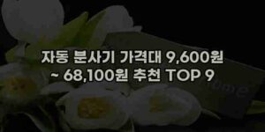 알리파파의 가성비 알리 제품 추천 49518 43