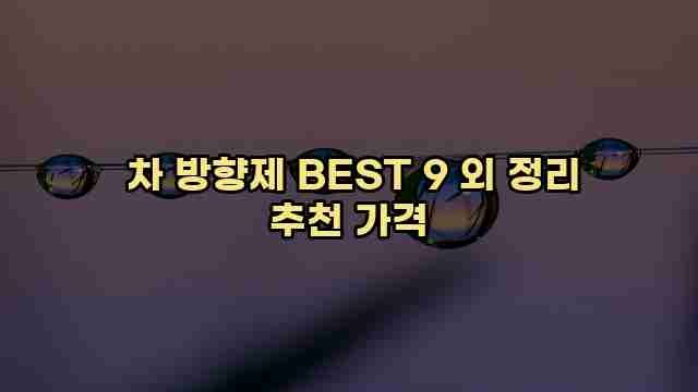  차 방향제 BEST 9 외 정리 추천 가격