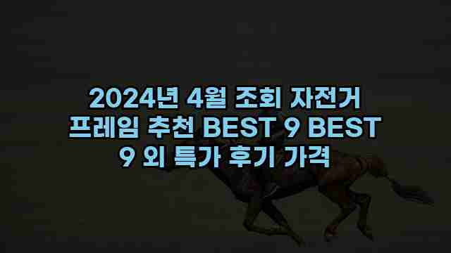 2024년 4월 조회 자전거 프레임 추천 BEST 9 BEST 9 외 특가 후기 가격