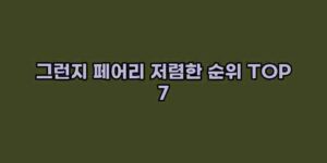 알리파파의 가성비 알리 제품 추천 26202 14