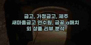 알리파파의 가성비 알리 제품 추천 37124 55