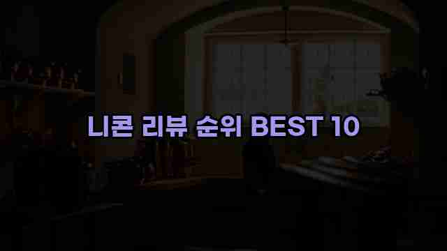 니콘 리뷰 순위 BEST 10