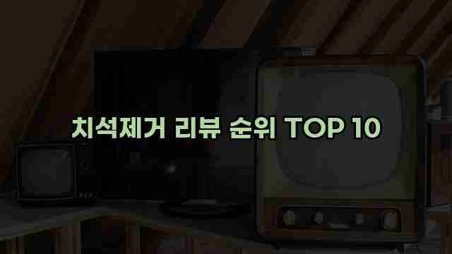 치석제거 리뷰 순위 TOP 10