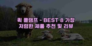 알리파파의 가성비 알리 제품 추천 20508 88
