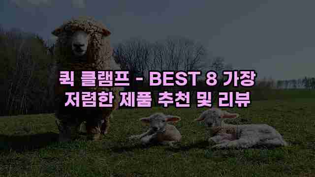 퀵 클램프 - BEST 8 가장 저렴한 제품 추천 및 리뷰