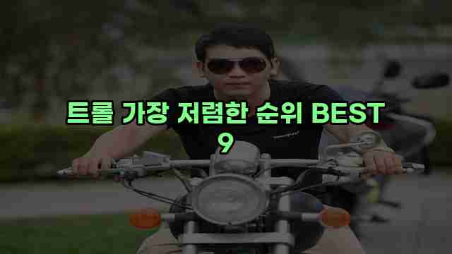 트롤 가장 저렴한 순위 BEST 9