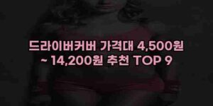 알리파파의 가성비 알리 제품 추천 46071 31