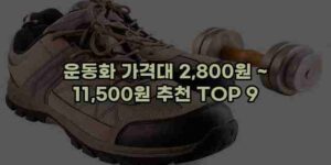 알리파파의 가성비 알리 제품 추천 20694 54