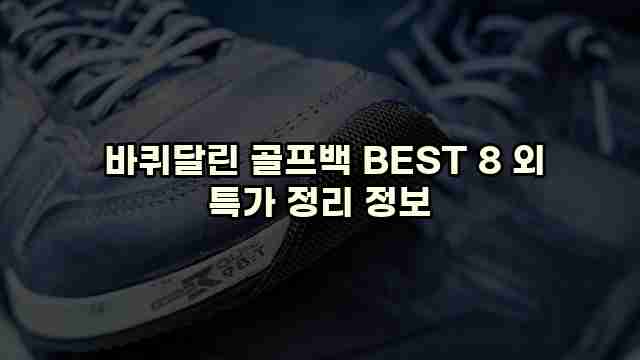  바퀴달린 골프백 BEST 8 외 특가 정리 정보