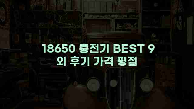  18650 충전기 BEST 9 외 후기 가격 평점