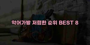 알리파파의 가성비 알리 제품 추천 21391 86