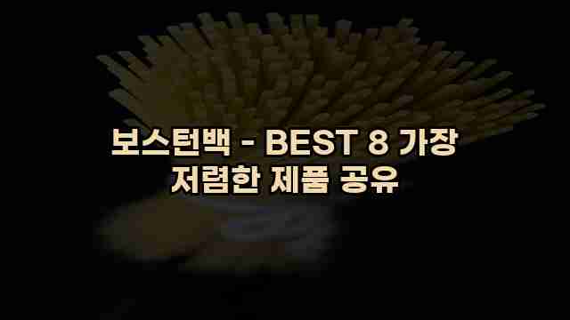 보스턴백 - BEST 8 가장 저렴한 제품 공유