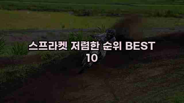 스프라켓 저렴한 순위 BEST 10