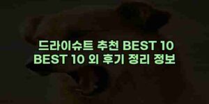 알리파파의 가성비 알리 제품 추천 22067 110