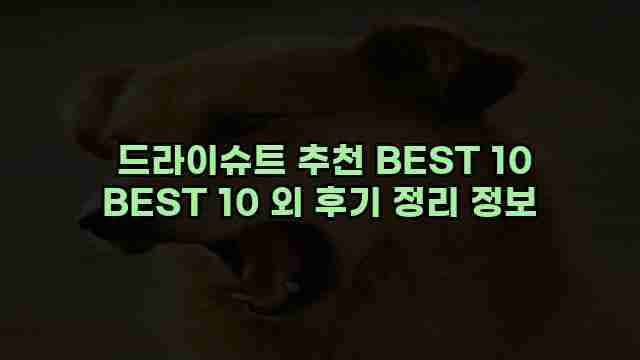  드라이슈트 추천 BEST 10 BEST 10 외 후기 정리 정보