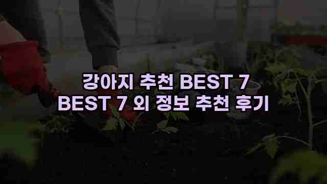  강아지 추천 BEST 7 BEST 7 외 정보 추천 후기