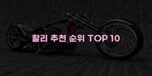 알리파파의 가성비 알리 제품 추천 32870 12