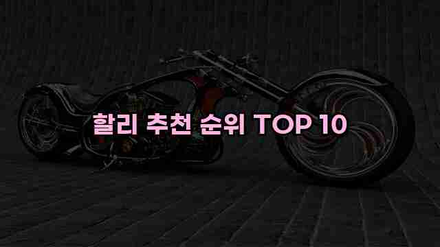 할리 추천 순위 TOP 10 1 1 할리 추천 순위 TOP 10
