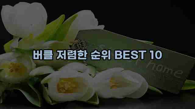 버클 저렴한 순위 BEST 10