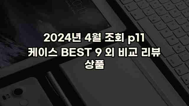 2024년 4월 조회 p11 케이스 BEST 9 외 비교 리뷰 상품