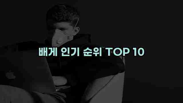 배게 인기 순위 TOP 10