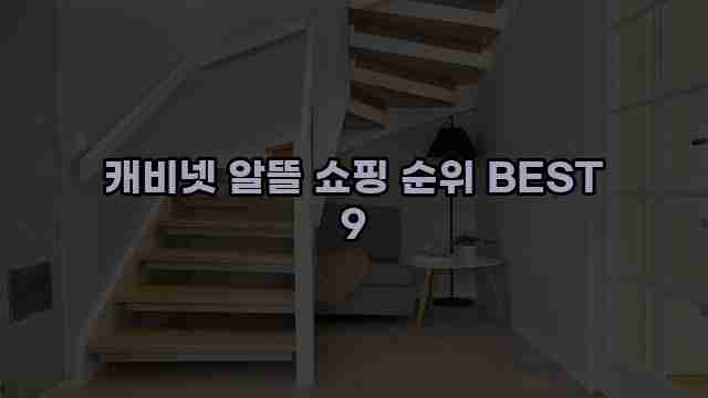 캐비넷 알뜰 쇼핑 순위 BEST 9