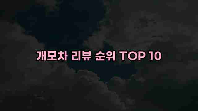 개모차 리뷰 순위 TOP 10