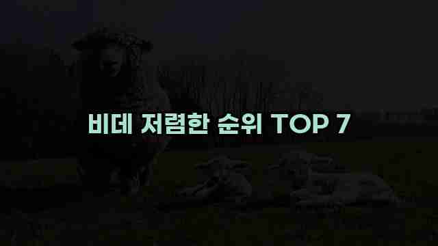 비데 저렴한 순위 TOP 7