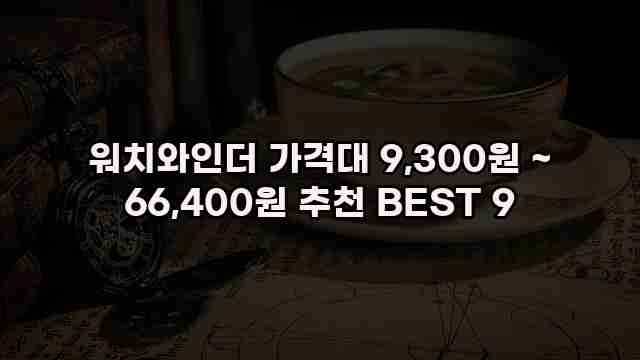 워치와인더 가격대 9,300원 ~ 66,400원 추천 BEST 9