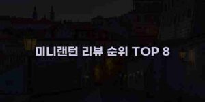 알리파파의 가성비 알리 제품 추천 37500 12