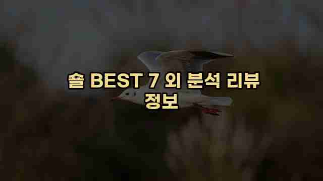  숄 BEST 7 외 분석 리뷰 정보