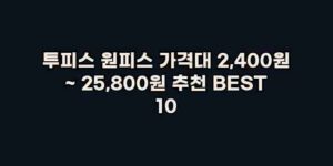 알리파파의 가성비 알리 제품 추천 23592 85