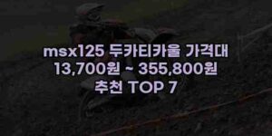 알리파파의 가성비 알리 제품 추천 42068 16