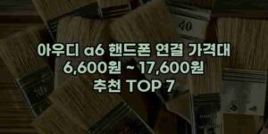 알리파파의 가성비 알리 제품 추천 23394 77