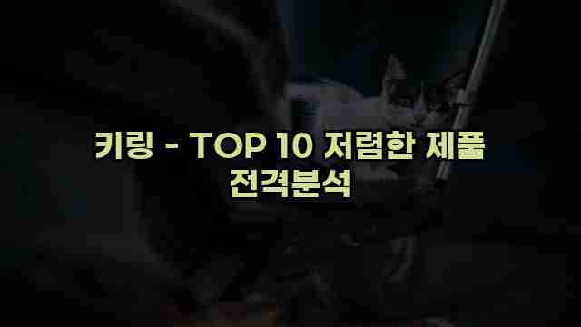 키링 - TOP 10 저렴한 제품 전격분석