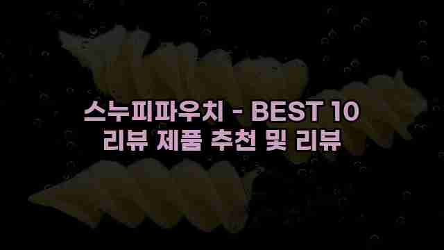 스누피파우치 - BEST 10 리뷰 제품 추천 및 리뷰