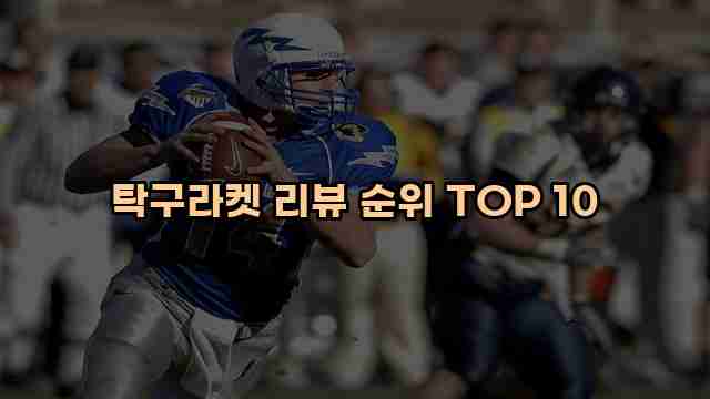 탁구라켓 리뷰 순위 TOP 10