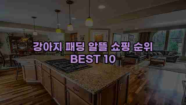 강아지 패딩 알뜰 쇼핑 순위 BEST 10