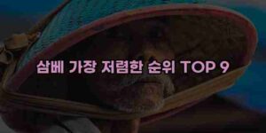 알리파파의 가성비 알리 제품 추천 25477 123