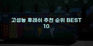 알리파파의 가성비 알리 제품 추천 24523 41