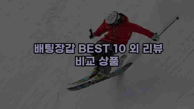  배팅장갑 BEST 10 외 리뷰 비교 상품