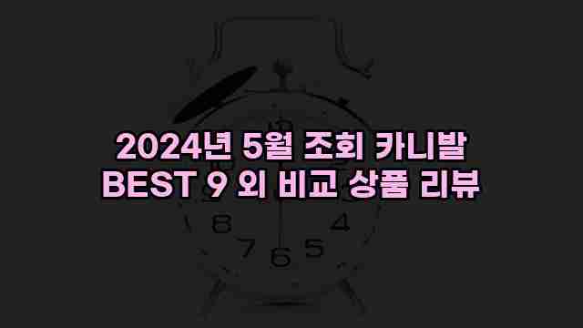 2024년 5월 조회 카니발 BEST 9 외 비교 상품 리뷰