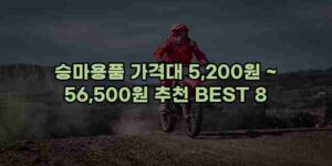 알리파파의 가성비 알리 제품 추천 43602 32