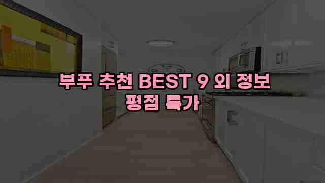  부푸 추천 BEST 9 외 정보 평점 특가