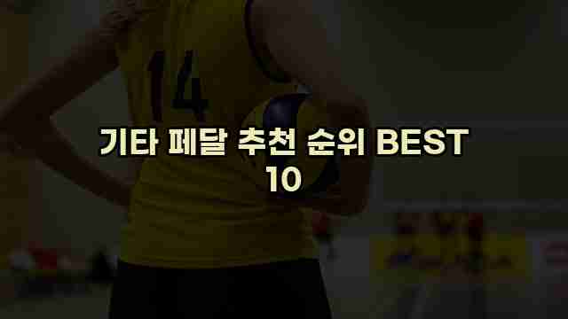 기타 페달 추천 순위 BEST 10