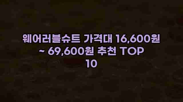 웨어러블슈트 가격대 16,600원 ~ 69,600원 추천 TOP 10