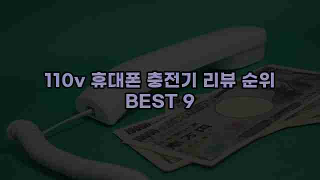 110v 휴대폰 충전기 리뷰 순위 BEST 9