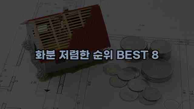 화분 저렴한 순위 BEST 8