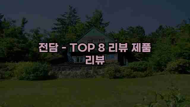 전담 - TOP 8 리뷰 제품 리뷰